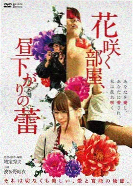 女生电影天堂爱情电影诺丁山海报